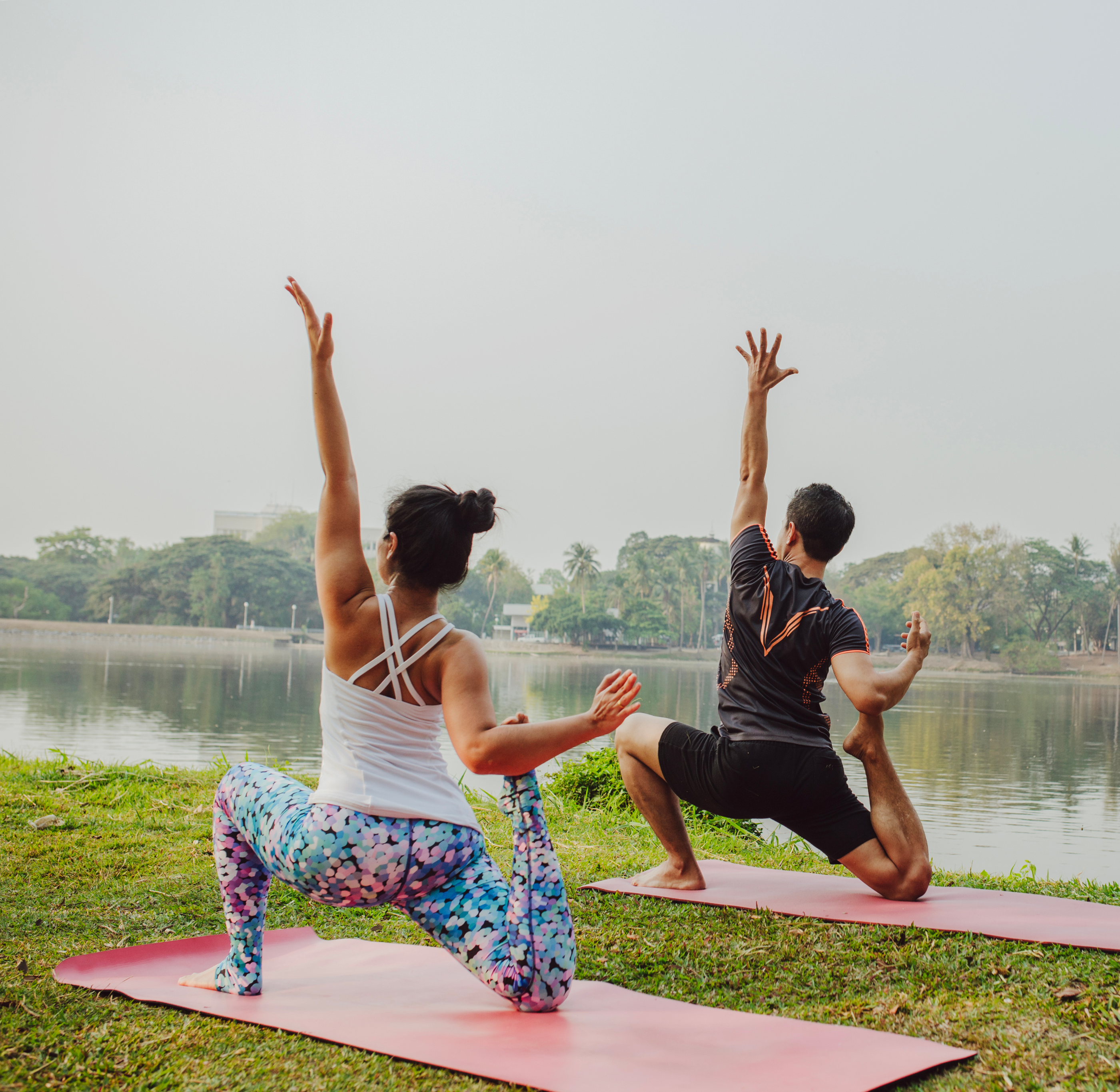 My Wellness